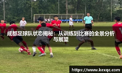 yy体育